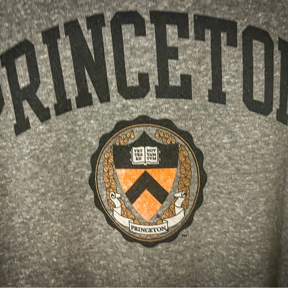 Princeton University hoodie, officially licensed, from Triblend Sweats, 2XL - Picture 2 of 10
